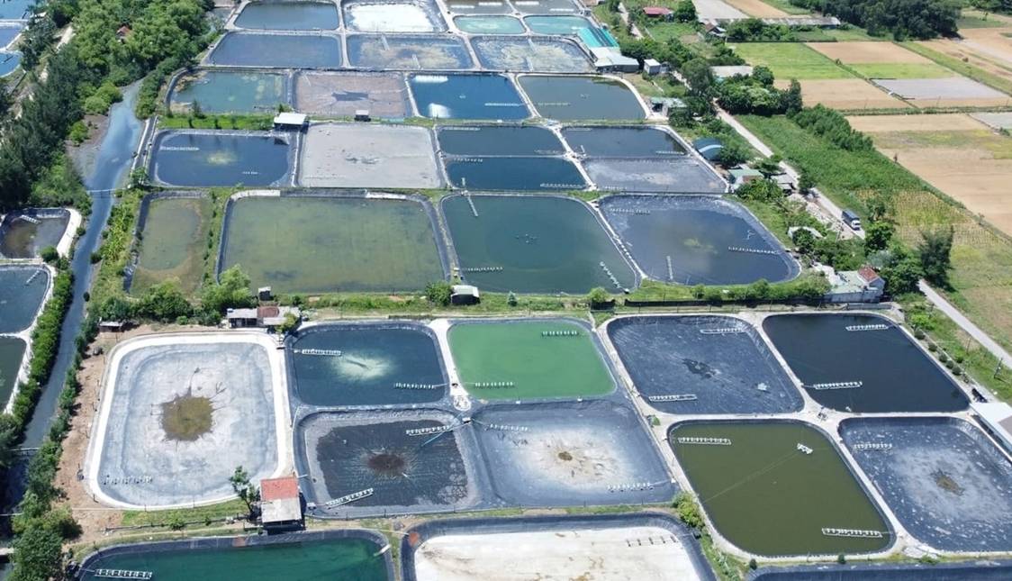 Nghệ An tiếp tục đẩy mạnh tái cơ cấu ngành nông nghiệp