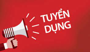 DIMO Travel tuyển dụng