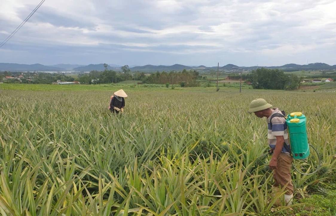 Công nghệ sinh học - động lực mới cho nông nghiệp Nghệ An