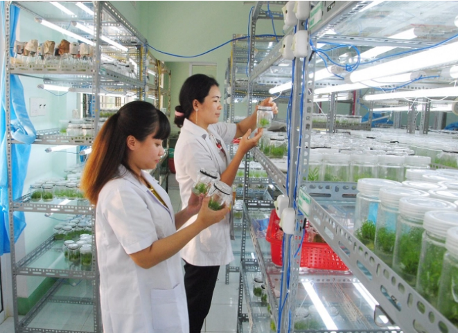 Cải tiến chương trình đào tạo ngành Lâm học