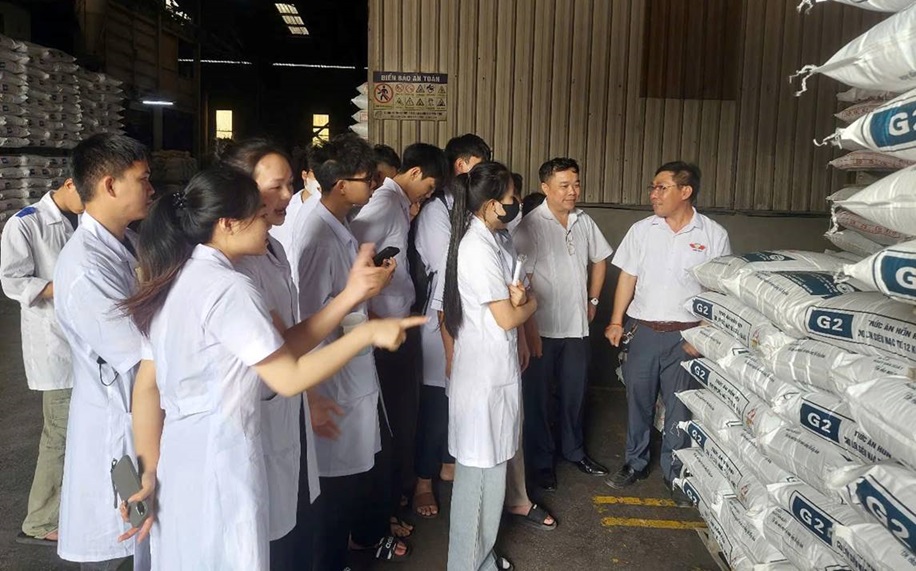 Tham quan, trải nghiệm thực tế tại Công ty sản xuất thức ăn chăn nuôi Golden Star