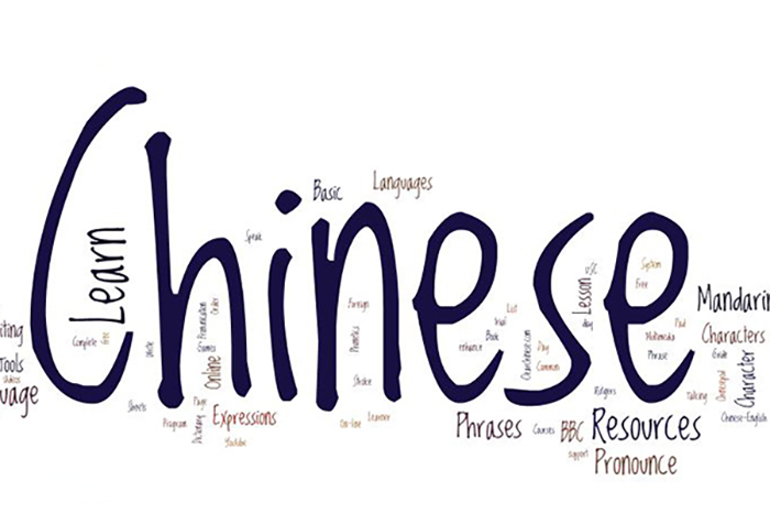 Học ngành Ngôn ngữ Trung ra trường làm gì, lương bao nhiêu?